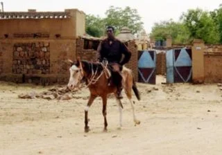 Een Janjaweed te paard (Publiek Domein - wiki)