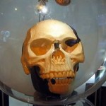 Replica van de schedel van de Piltdown-mens – Foto: CC