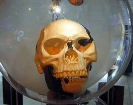 Replica van de schedel van de Piltdown-mens – Foto: CC