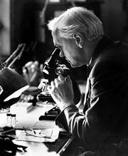 Alexander Fleming achter zijn microscoop