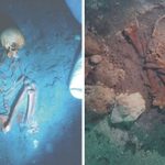 De bij de Atlit-Yam site gevonden beenderen (foto: University College London)