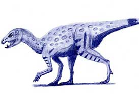 De Heterodontosaurus