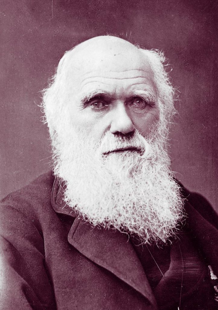 Charles Darwin, bedenker van de evolutietheorie
