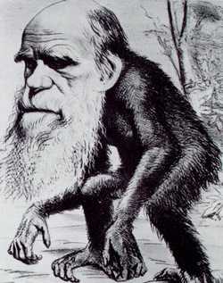Darwin als 'aap', spotprent uit 1871