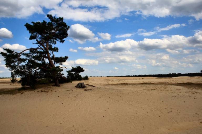 Zandverstuiving in Nationaal Park De Hoge Veluwe - cc