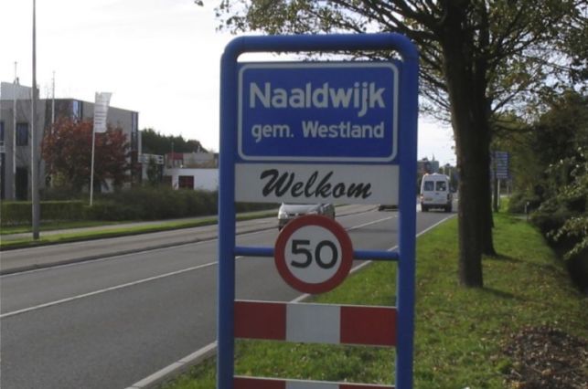 Naaldwijk (CC BY-SA 3.0 - M.Minderhoud - wiki)