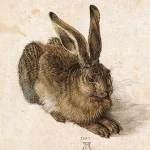 Waterverftekening uit 1502 van een jonge haas door Albrecht Dürer.