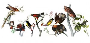 Google-logo voor Audubon