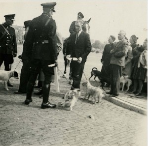 Inbeslagname van honden – Foto: Karel Bönnekamp