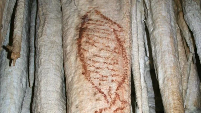 Tekening die in de grotten van Nerja is gevonden