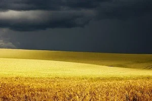 Graanveld met donderlucht bij Pettoncourt, Frankrijk