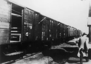 Trein bij Westerbork