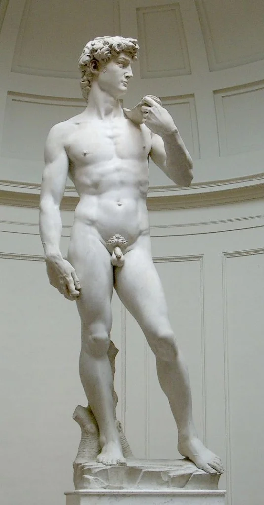 De echte David van Michelangelo