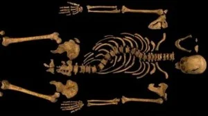 Skelet van Richard III
