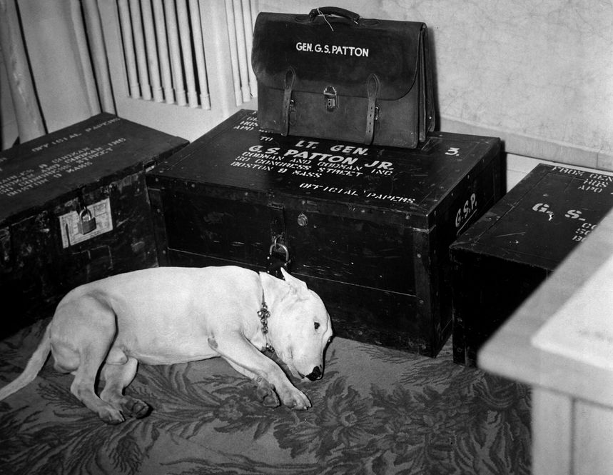 Het hondje van George S. Patton