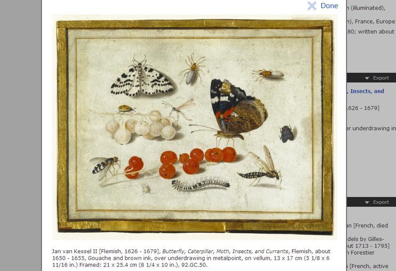 Afbeelding van Jan van Kessel II (ca. 1650) gratis te downloaden via de website van het Getty Museum