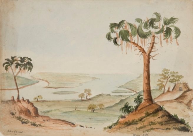 Tekening van (vermoedelijk) Tuti Island nabij Khartoem, door Alexine Tinne – Collectie Haags Historisch Museum. 