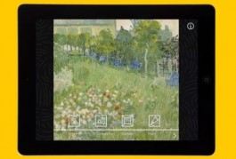 Touch Van Gogh - What paintings can reveal