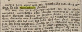 Op 20 november 1874 maakte het Algemeen Handelsblad in de rubriek  Allerlei' melding van een opmerkelijke ontdekking van Darwin: "Er zijn vleeschetende planten!" Het artikel beschrijft dat de plant een vlieg vangt, zijn bladen sluit en dan: "Hij eet ze."