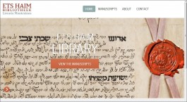 Ets Haim zet 200 oude joodse handschriften online - www.etshaimmanuscripts.nl