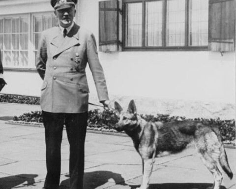 Adolf Hitler met zijn hond Blondi die hij in 1941 van Martin Bormann cadeau gekregen had