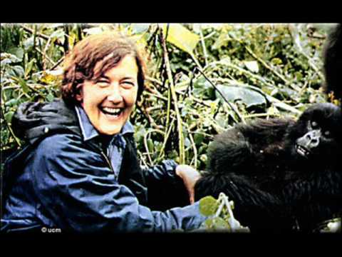 Dian Fossey (Still YouTube)