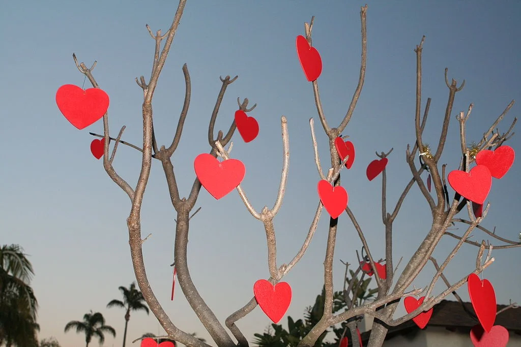 Versierde boom voor Valentijnsdag - cc