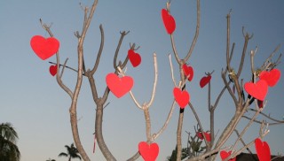 Versierde boom voor Valentijnsdag - cc