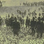 Het dramatische jaar 1914 (detail cover)