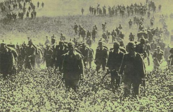 Het dramatische jaar 1914 (detail cover)