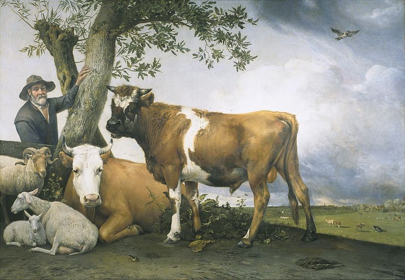 De stier - Paulus Potter, 1647 (Mauritshuis)