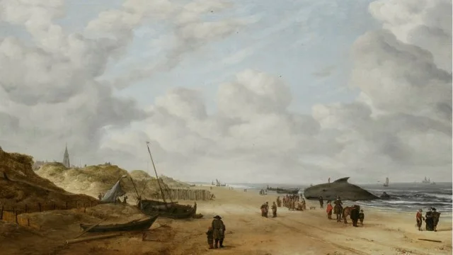 Gerestaureerde schilderij van Hendrick van Anthonissen, mét walvis (Fitzwilliam Museum)