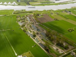 Werk aan de Groeneweg (Staatsbosbeheer)