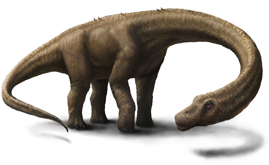 Artist-impression van de Dreadnoughtus (Jennifer Hall - wiki)