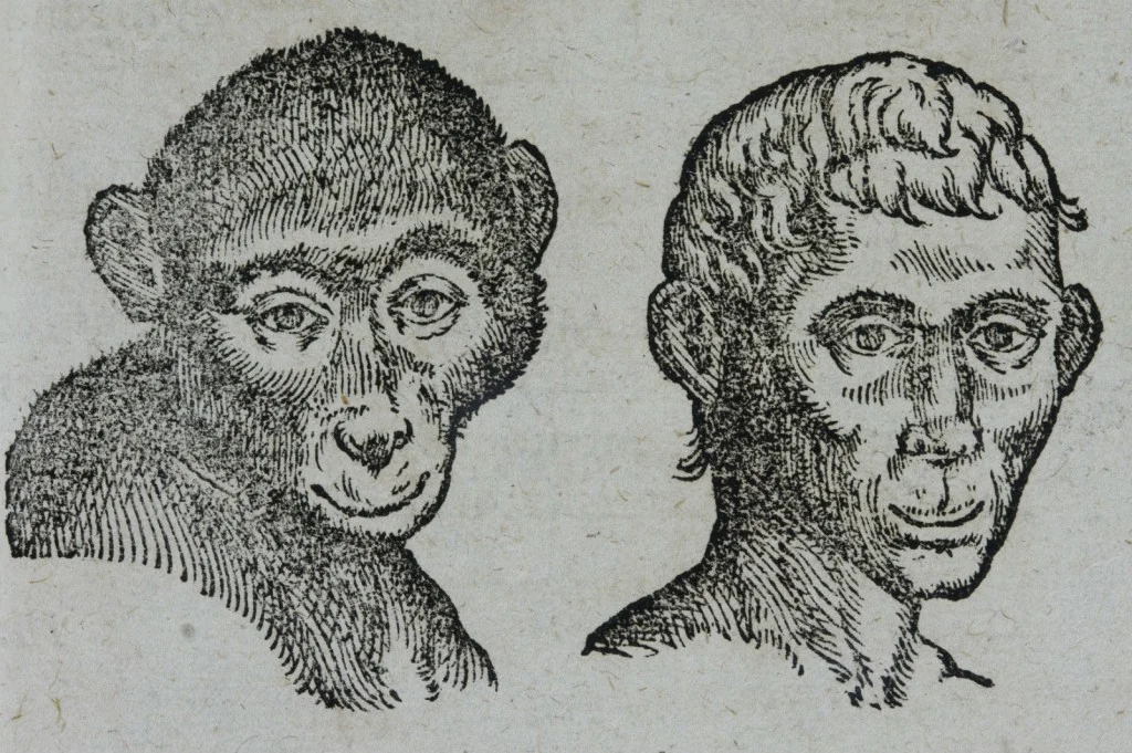 Della Porta (1535-1615) is de grondlegger van de fysionomie. Hij maakte daarbij vergelijkingen met dieren en hun karaktereigenschappen. (G.B. della Porta, 1601; coll. Teylers Museum)