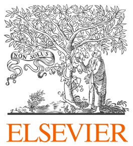 Uitgeverij Elsevier