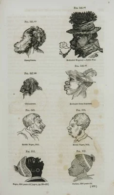 Verschillende ‘negro faces’ uit de literatuur die door de racisten Nott en Gliddon werden opgevoerd om het grote verschil met beschaafde Griekse koppen aan te tonen (Nott & Gliddon, Types of Mankind 1854, coll. Teylers Museum)