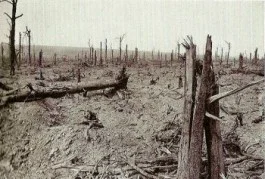 Delville Wood, september 1916 (delvillewood.com)