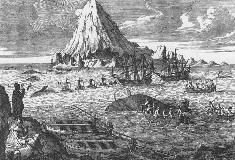 Anonieme gravure uit de 18e eeuw met Nederlandse walvisvaarders jagend op Groenlandse walvissen bij Jan Mayen.