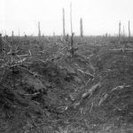 Delville Wood, september 1916