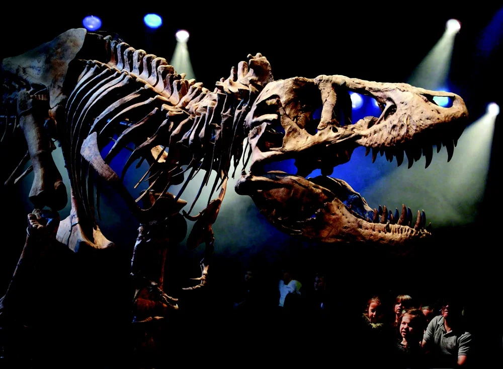 Tyrannosaurus rex (Naturalis)