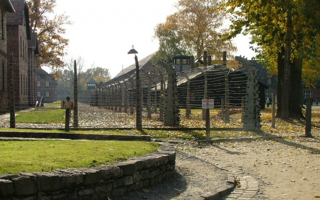 Auschwitz (cc - Emmanuel Dyan)