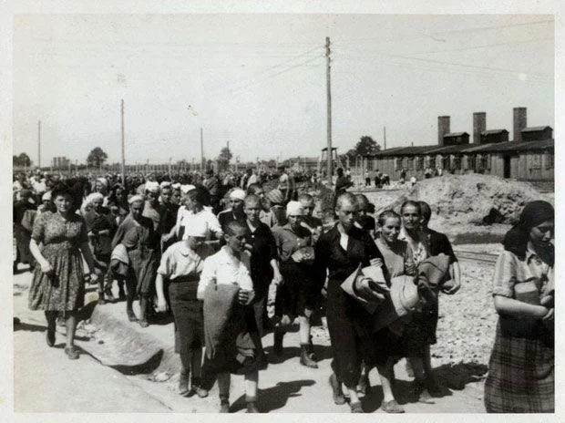 Kaalgeschoren vrouwen, geselecteerd voor dwangarbeid (Auschwitz Album, mei 1944)