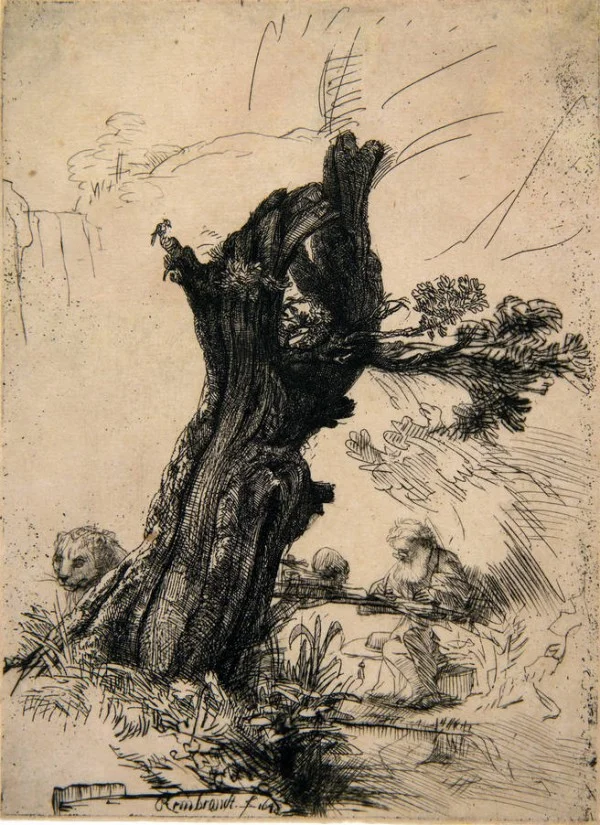 Hieronymus bij een knotwilg - Rembrandt van Rijn