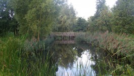 Reconstructie van het Kanaal van Corbulo in de wijk de Rietvink in Leidschendam - cc