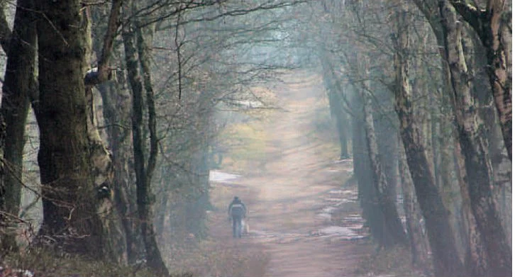 Bergherbos, detail van de boekcover