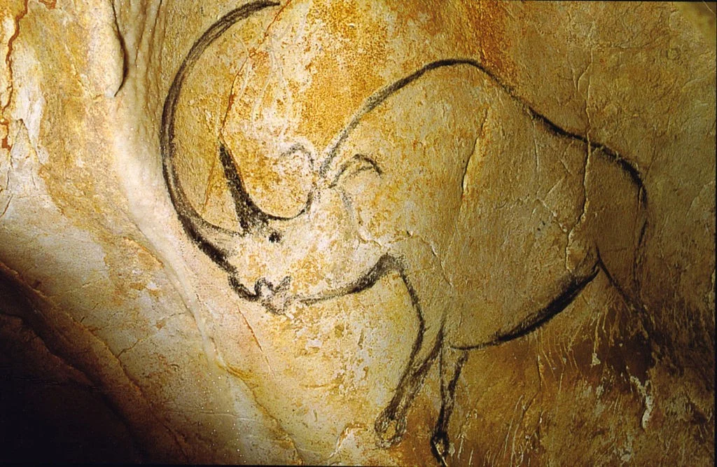 Tekening van een neushoorn in de grot
