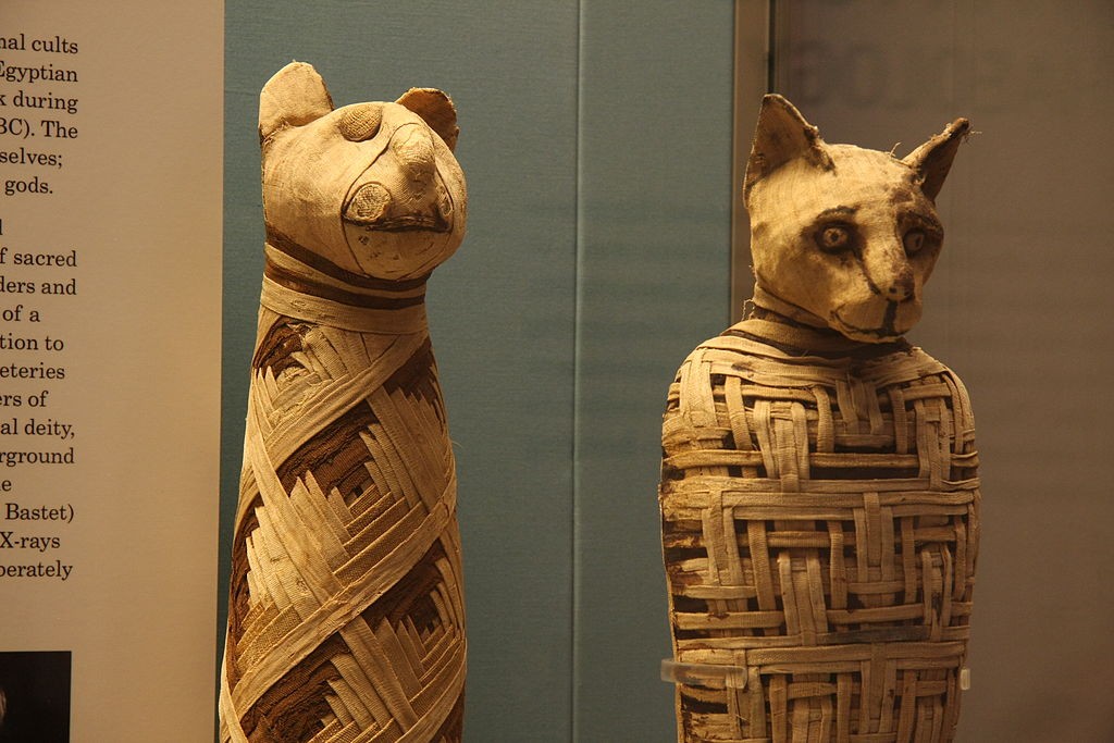 Egyptische dierenmummies in het British Museum - cc
