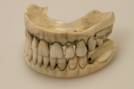 Waterloo-tanden (Uit: Onze Slag bij Waterloo - Louis Sloos)