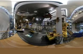 Naturalis te bezoeken via Google Street View